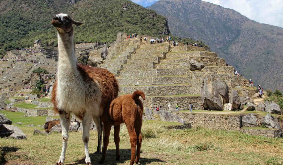 Hydroelectric to Machu Picchu – 2 Days / 1 Night | Scenic Trek + Train Return