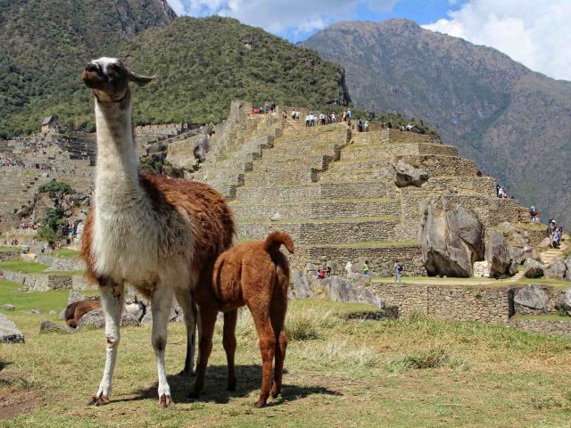 Short Inca Trail To Machu Picchu 2 Days / 1 Night