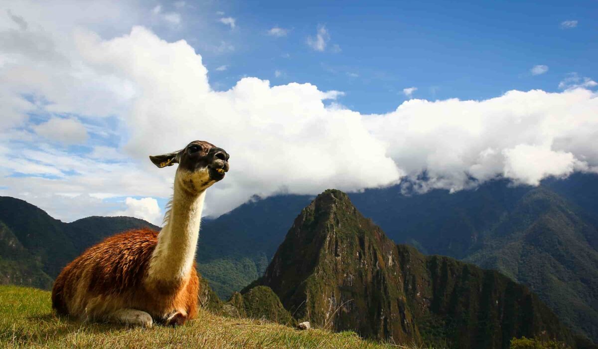Hydroelectric to Machu Picchu – 2 Days / 1 Night | Scenic Trek + Train Return